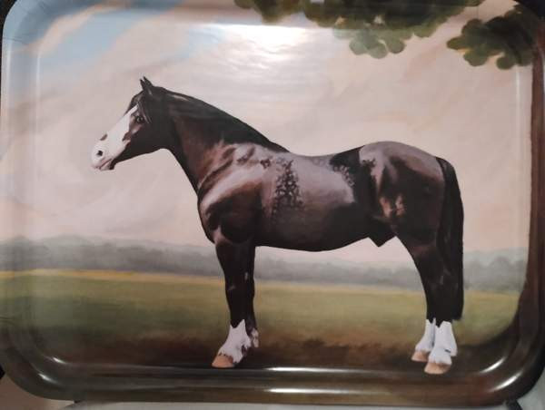 Hevostarjotin Heinola - valokuva 1