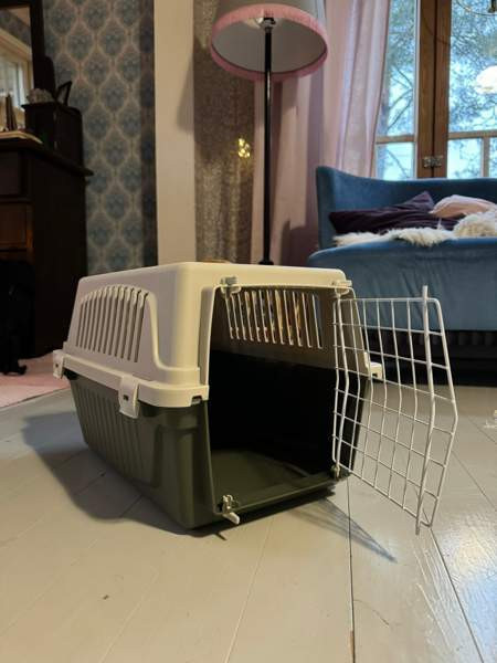 Kissan kuljetuskoppa Loimaa - valokuva 1