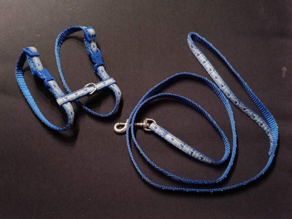 Kissan valjaat ja talutushihna Eura - изображение 1