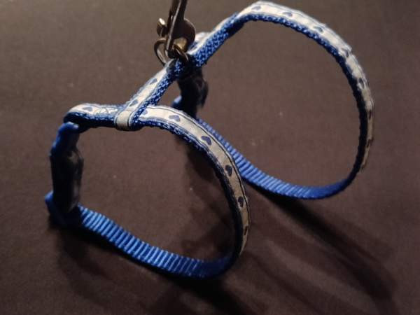 Kissan valjaat ja talutushihna Eura - изображение 3