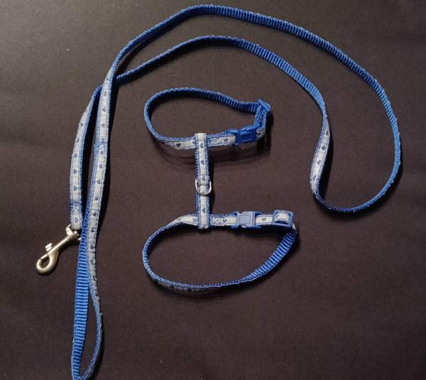 Kissan valjaat ja talutushihna Eura - изображение 2