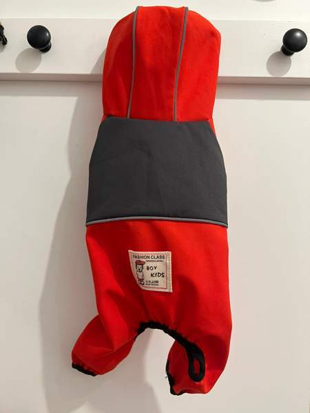 Koiran sadetakki xs Turku - valokuva 1