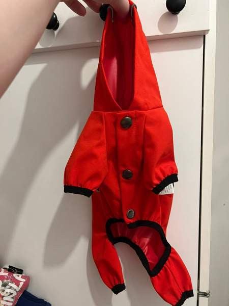 Koiran sadetakki xs Turku - valokuva 2