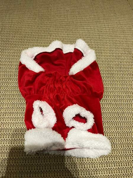 Little Bigger koiran joulumekko Vihti - valokuva 3