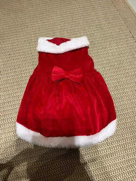 Little Bigger koiran joulumekko Vihti - valokuva 1