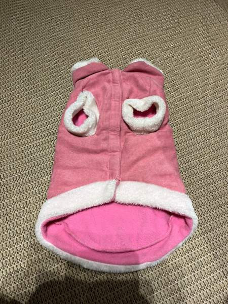 Koiran Prinsessa takki Vihti - valokuva 2