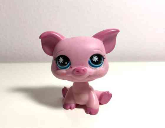 Lps possu Helsinki