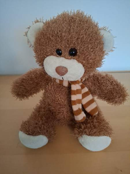 Nalle kaulaliina kaulassa Turku - photo 1