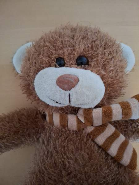 Nalle kaulaliina kaulassa Turku - photo 2