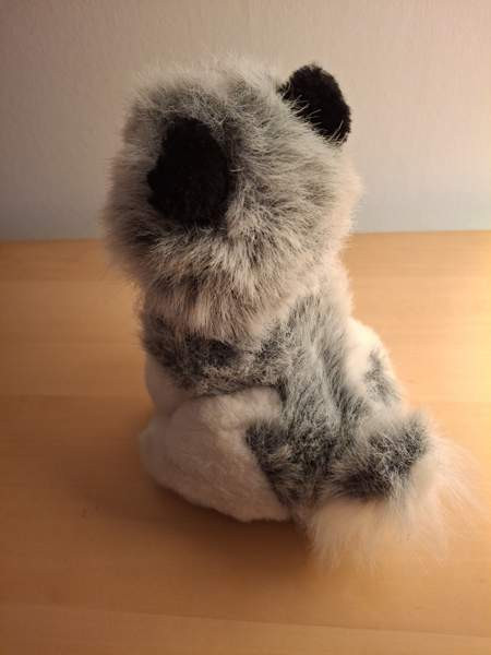 Harmaa-valkoinen koira, mustat korvat Turku - valokuva 4