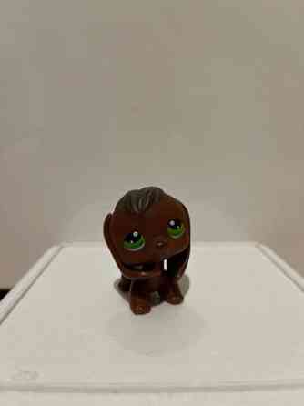LPS Koira Tampere