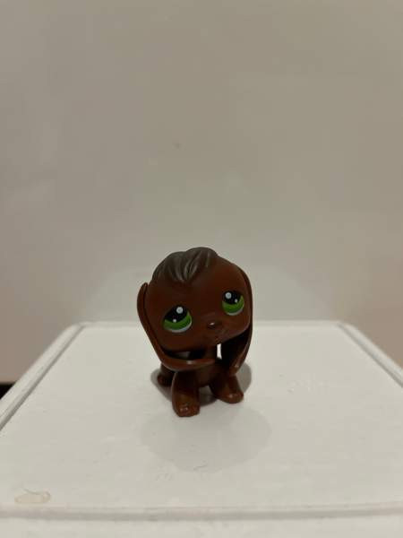 LPS Koira Tampere - photo 1