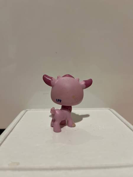 LPS Vuohi Tampere - photo 2