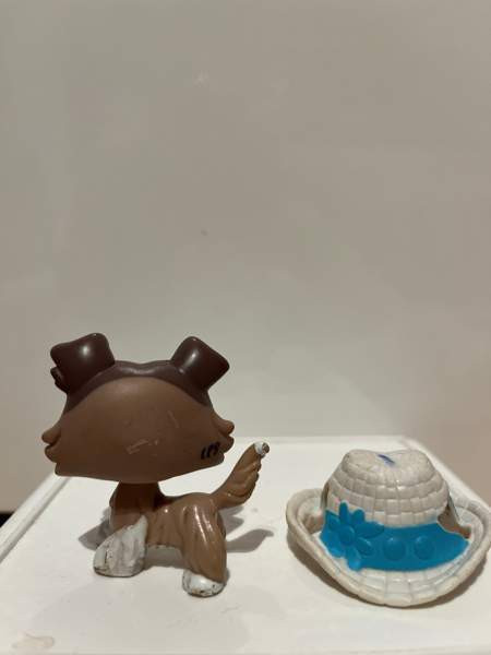 LPS Collie Tampere - valokuva 3