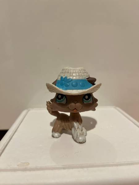 LPS Collie Tampere - valokuva 1