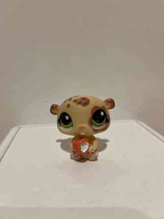 LPS Hamsteri Tampere