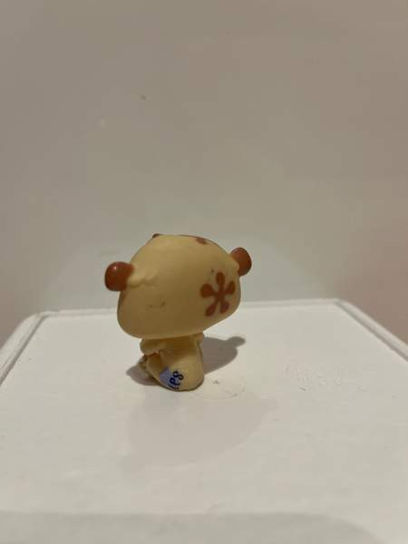 LPS Hamsteri Tampere - photo 2