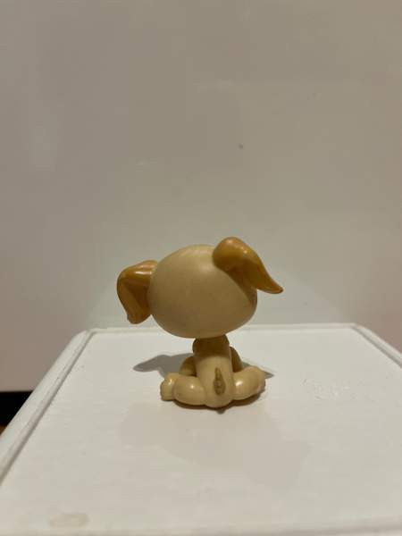 LPS Kultainen noutaja Tampere – foto 2