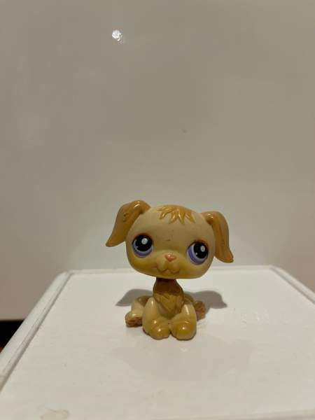 LPS Kultainen noutaja Tampere – foto 1