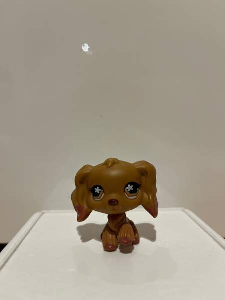 LPS Cockerspanieli Тампере - изображение 1