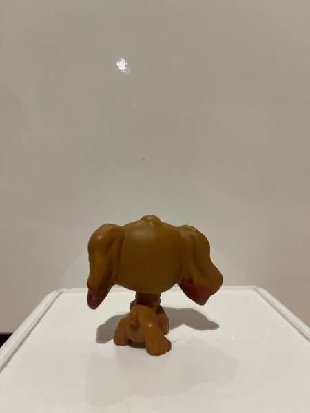 LPS Cockerspanieli Тампере - изображение 2