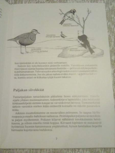 Kaksi luonto- vaellusopasta luontopoluille  Saana- ja Yllästuntureilla Naantali - valokuva 6