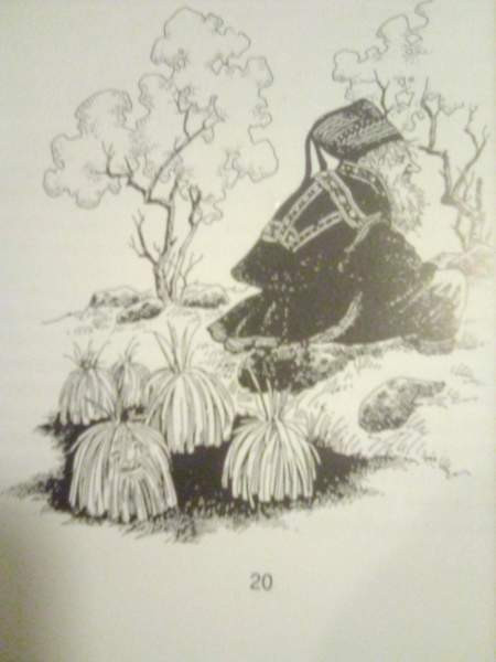 Kaksi luonto- vaellusopasta luontopoluille  Saana- ja Yllästuntureilla Naantali - valokuva 7