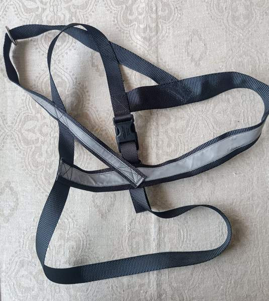 Koiran valjaat, heijastinvaljaat Raasepori - valokuva 1