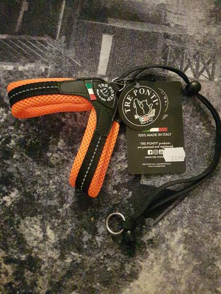 Pienen koiran valjaat Kotka - valokuva 2