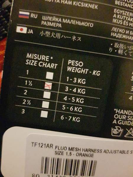 Pienen koiran valjaat Kotka - valokuva 4