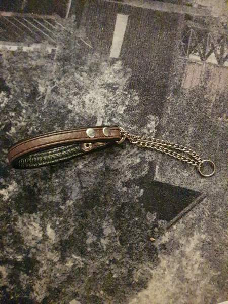 Pienen koiran nahkapanta Kotka – foto 1