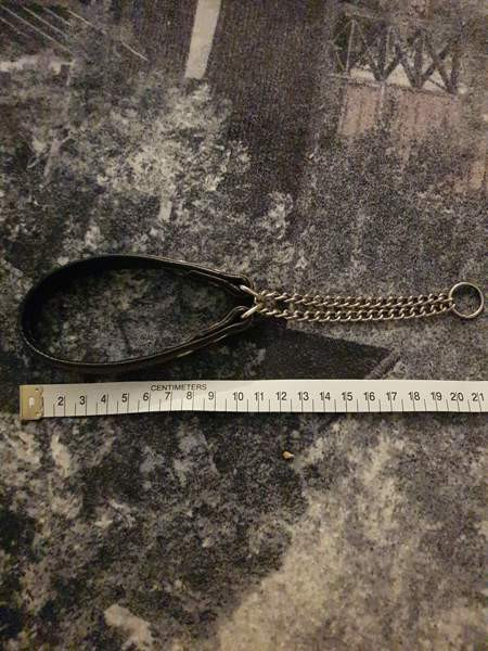 Pienen koiran nahkapanta Kotka – foto 2