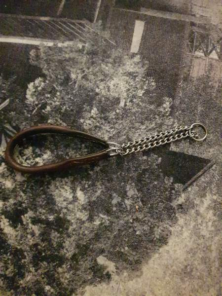 Nahkapanta pienelle koiralle Kotka - photo 2