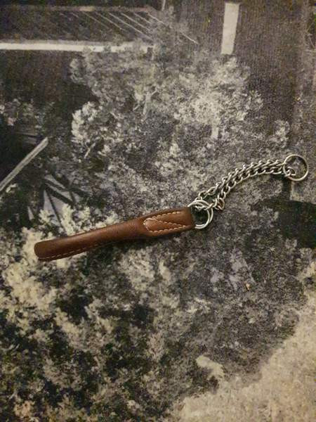 Nahkapanta pienelle koiralle Kotka - photo 1