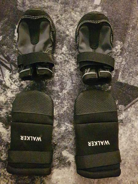 Koiran tossut, koko S Kotka – foto 1