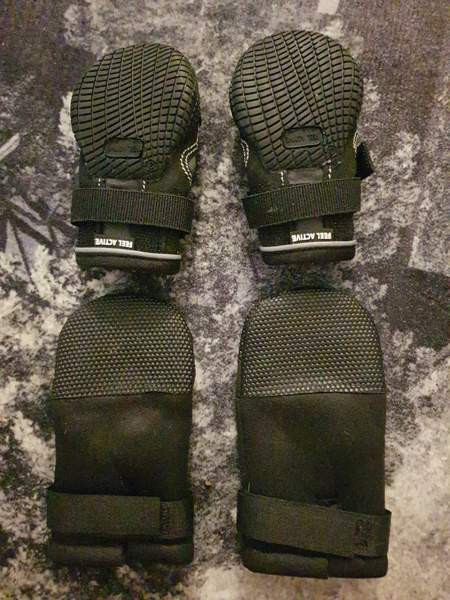 Koiran tossut, koko S Kotka – foto 2