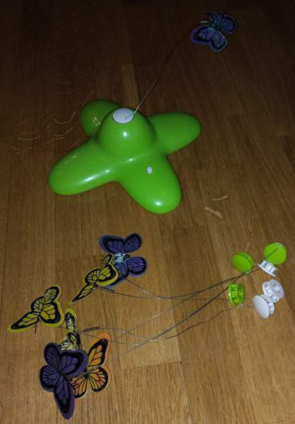 Kissan interaktiivinen perhoslelu Lempäälä - valokuva 2