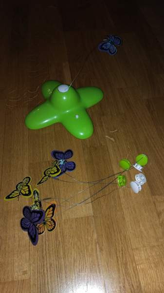 Kissan interaktiivinen perhoslelu Lempäälä - valokuva 1