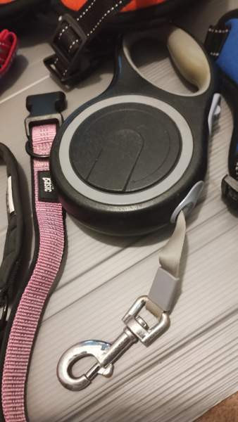 Koiran tarvikkeita Turku - photo 2