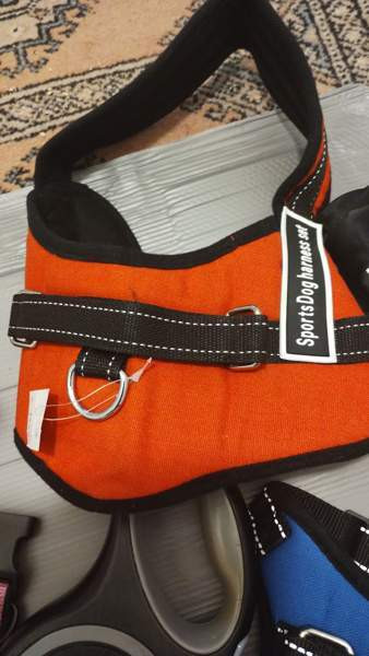 Koiran tarvikkeita Turku - photo 4