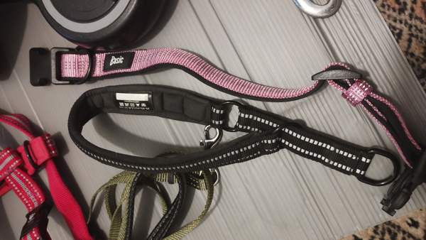 Koiran tarvikkeita Turku - photo 8