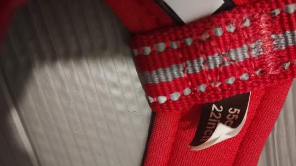 Koiran tarvikkeita Turku - photo 5