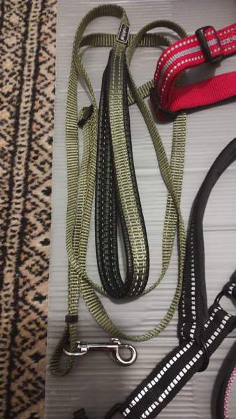 Koiran tarvikkeita Turku - photo 7