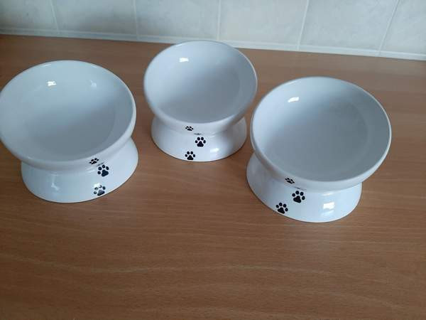 Ergonominen korotettu keraaminen ruokakuppi koiralle/kissalle Taivalkoski - изображение 3