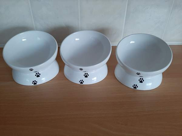 Ergonominen korotettu keraaminen ruokakuppi koiralle/kissalle Taivalkoski - изображение 1