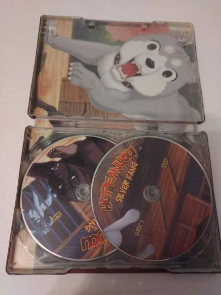 Hopeanuoli keräilysetti Hyvinge – foto 6