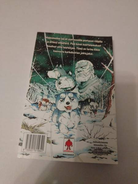 Hopeanuoli keräilysetti Hyvinge – foto 7