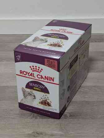 Royal Canin Sensory Smell kastikkeessa Jyvaeskylae