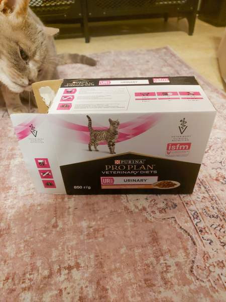 Purina Urinary kissanruoka Jyväskylä - valokuva 1