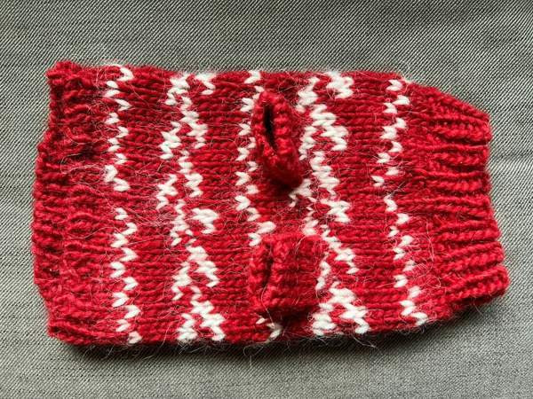 Koiranneule Kuopio – foto 3